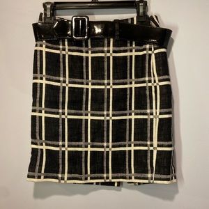 Ann Taylor skirt